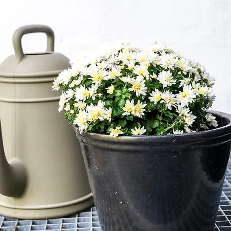 Hyggeby - Architektenhaus Mit Schleiblick, Sauna, Etc Nyaraló