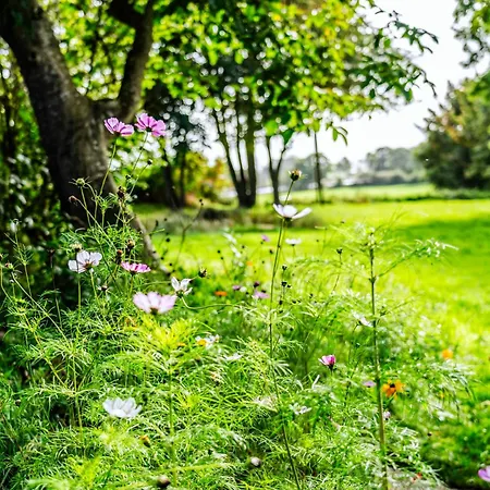 Hyggeby - Architektenhaus Mit Schleiblick, Sauna, Etc Ulsnis